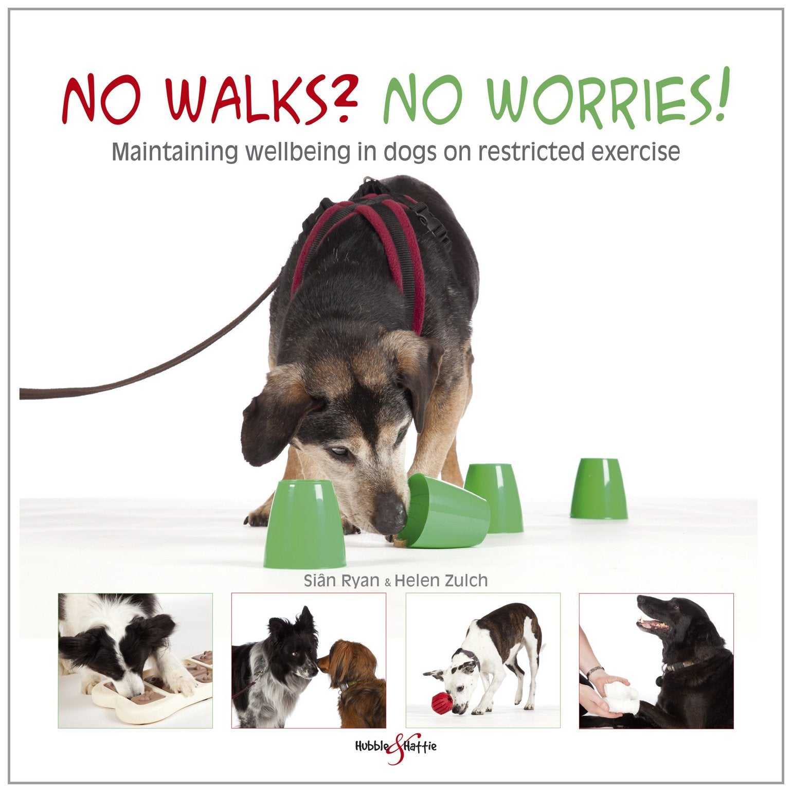 No Walks? No Worries!: Maintaining Wellbeing In Dogs On Restricted Exercise