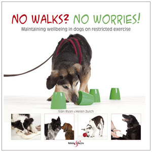 No Walks? No Worries!: Maintaining Wellbeing In Dogs On Restricted Exercise