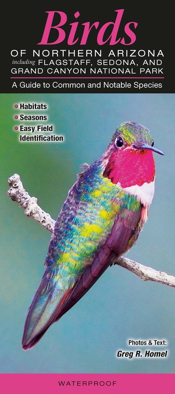 Birds of Northern Arizona including Flagstaff, Sedona, & Grand Canyon National Park: A Guide to Common & Notable Species,Used