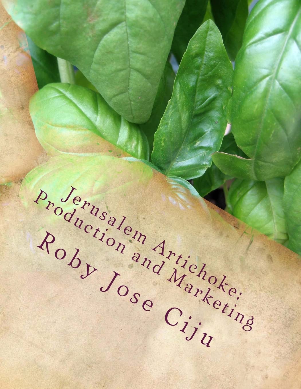 Jerusalem Artichoke: Prodcution And Marketing (All About Vegetables),Used