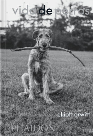 Vida De Perros: (Dogsdogs Spanish Edtion)