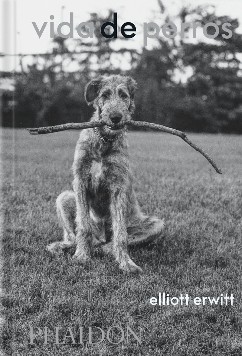 Vida De Perros: (Dogsdogs Spanish Edtion)