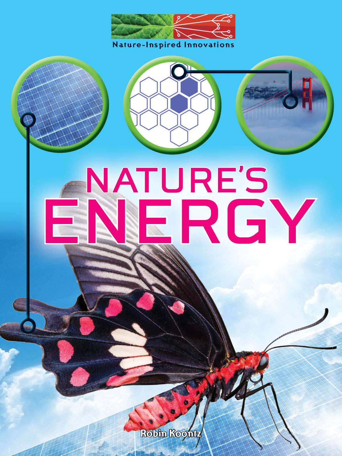Rourke Educational Media Nature's Energy (NatureInspired Innovations),Used