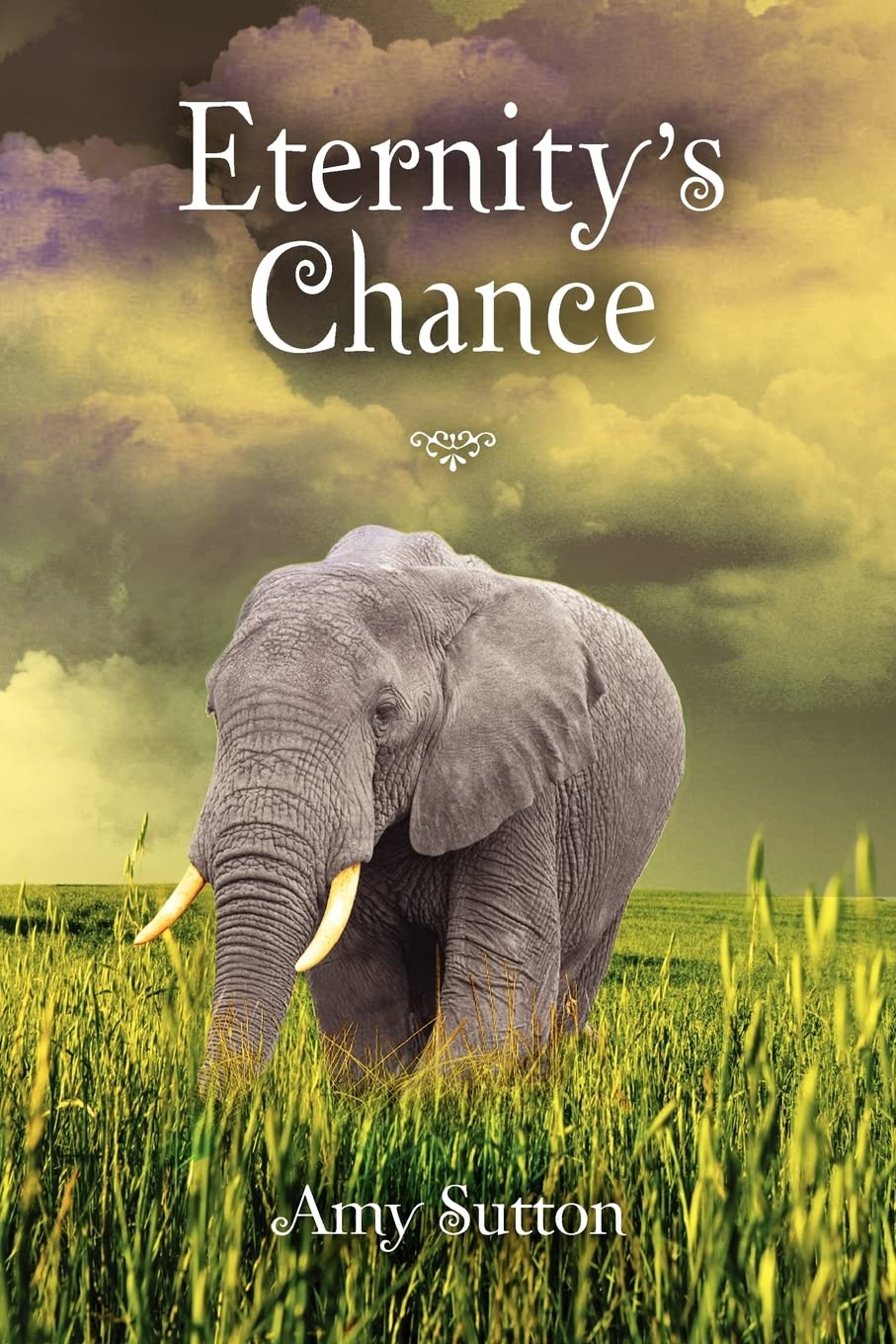 Eternity'S Chance',Used