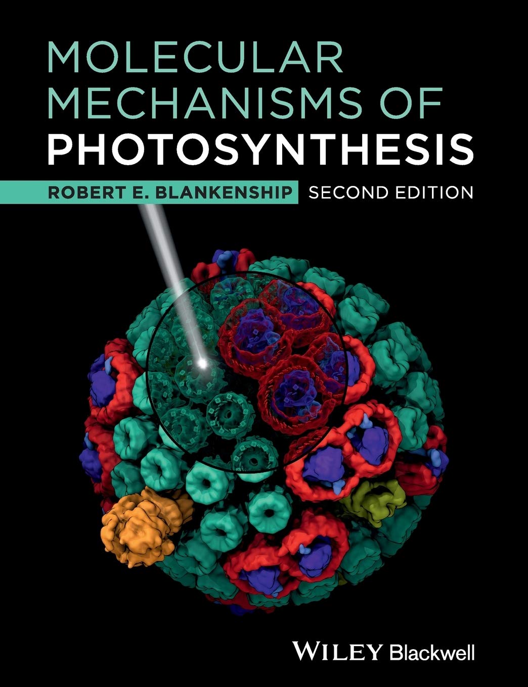 Molecular Mechanisms Photosynthesis 2e,Used