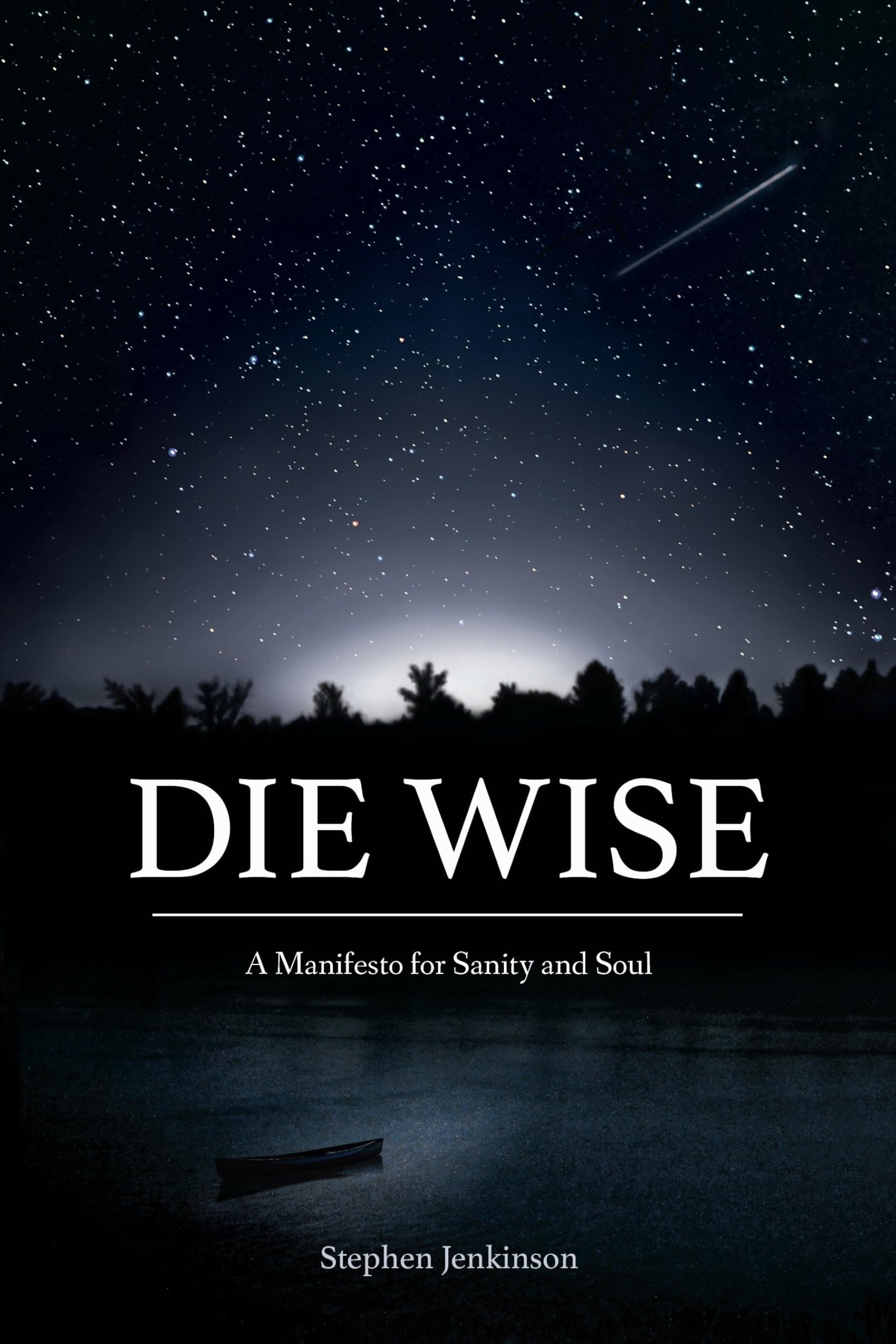 Die Wise: A Manifesto for Sanity and Soul,Used