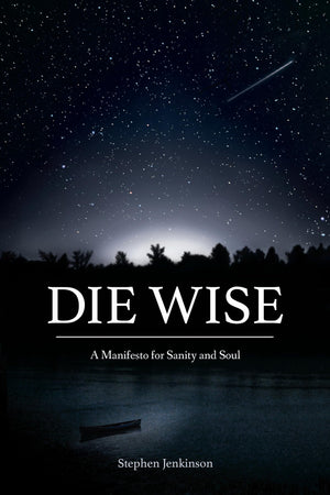 Die Wise: A Manifesto for Sanity and Soul,Used