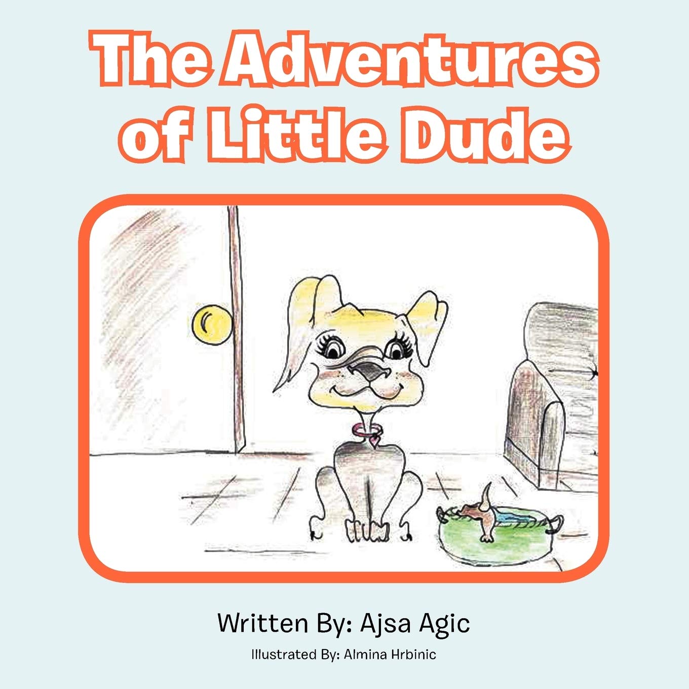 The Adventures Of Little Dude,Used