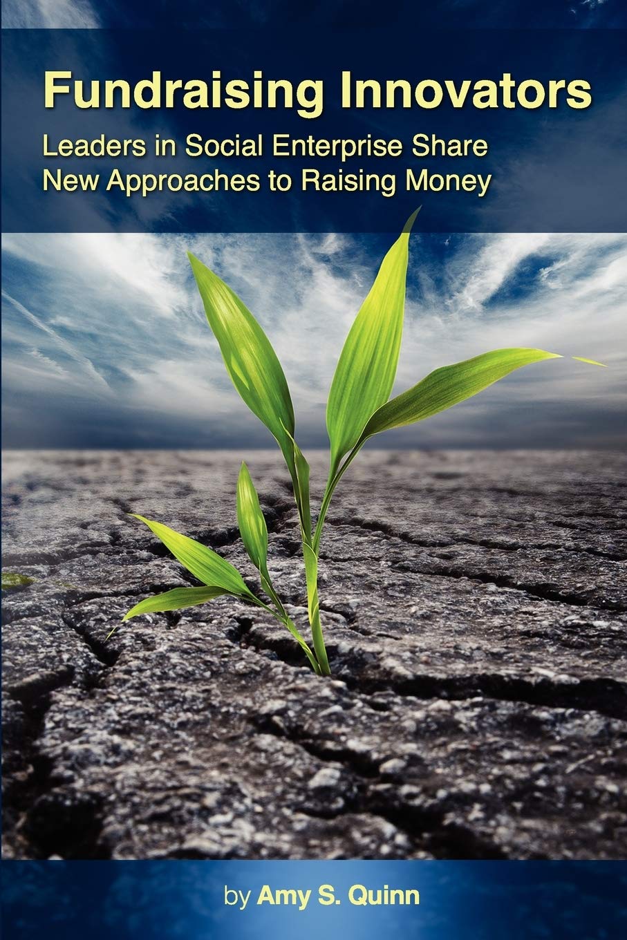 Fundraising Innovators: Leaders In Social Enterprise Share New Approaches To Raising Money,Used