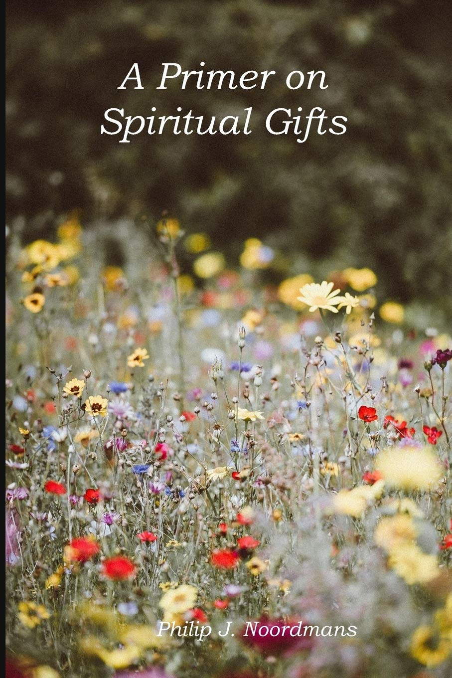 A Primer on Spiritual Gifts,Used