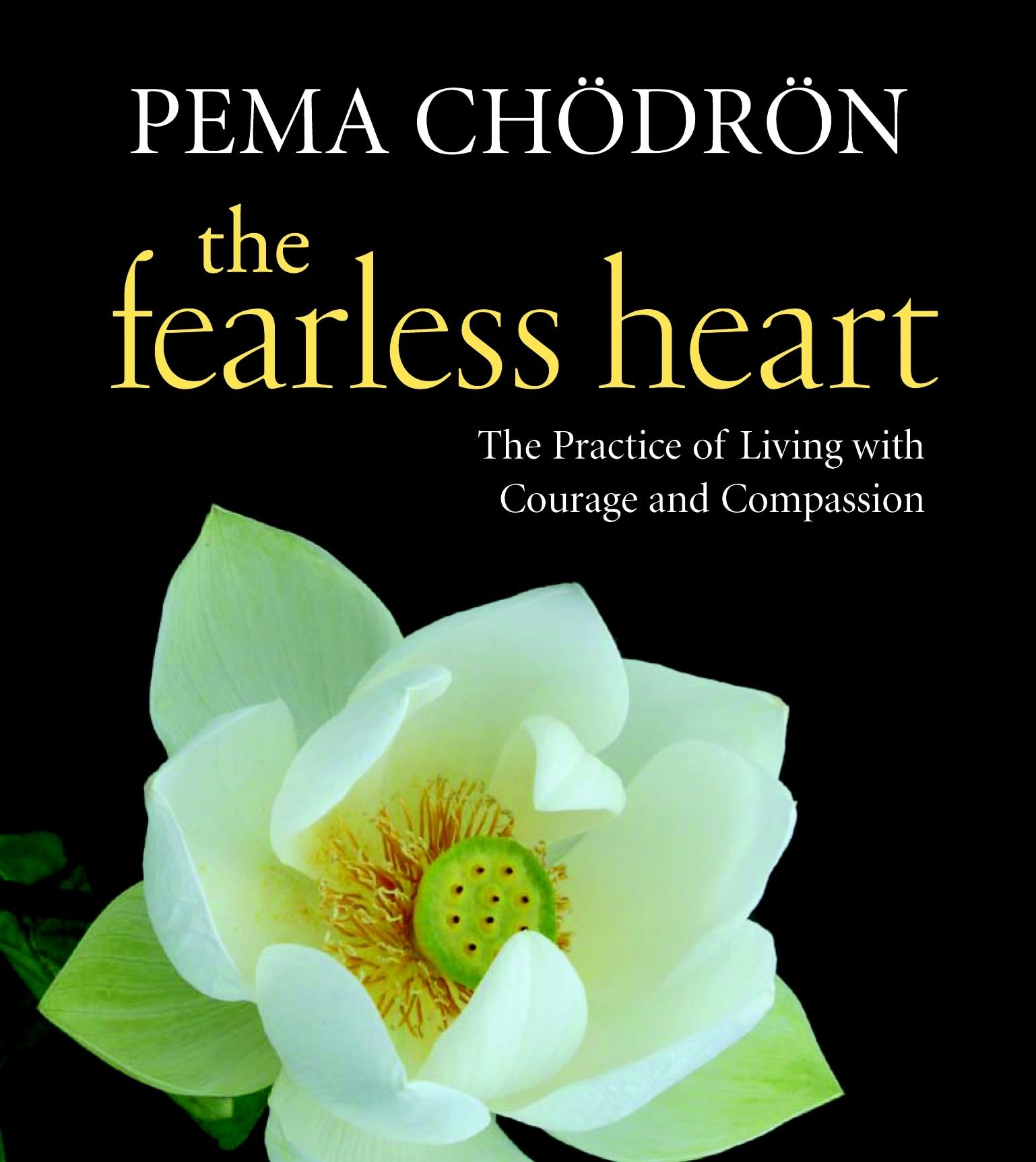 The Fearless Heart: The Practice of Living with Courage and Compassion,Used
