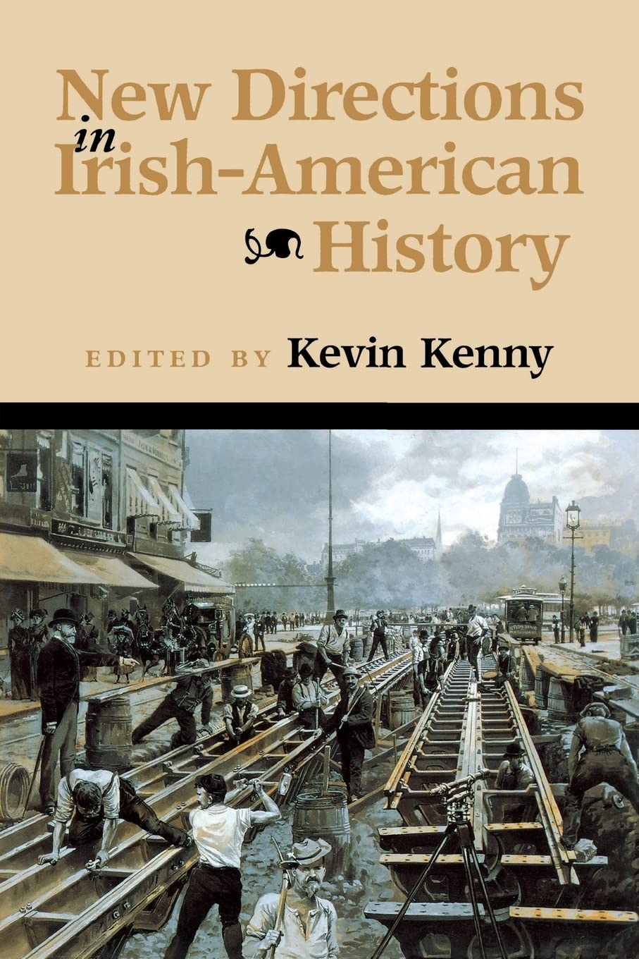 New Directions Irishamer History (History Of Ireland & The Irish Diaspora),New