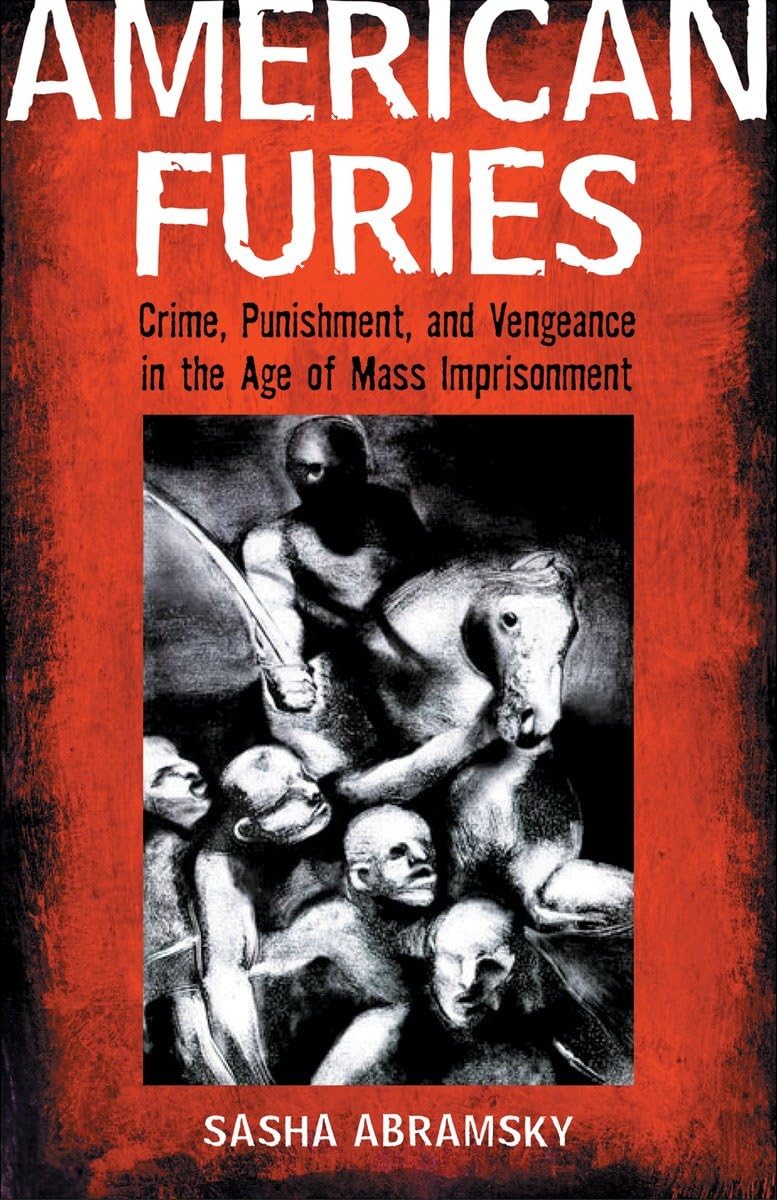 American Furies: Crime, Punishment, And Vengeance In The Age Of Mass Imprisonment,Used
