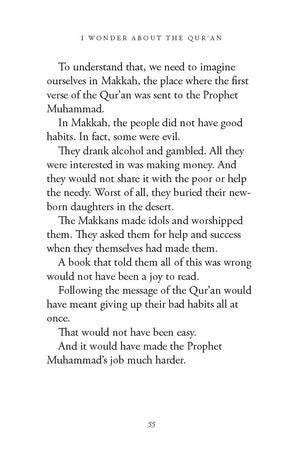I Wonder About the Qur'an (I Wonder About Islam),Used