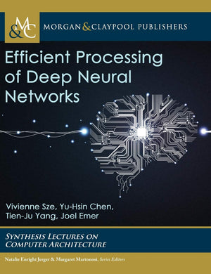 Efficient Processing of Deep Neural Networks,Used