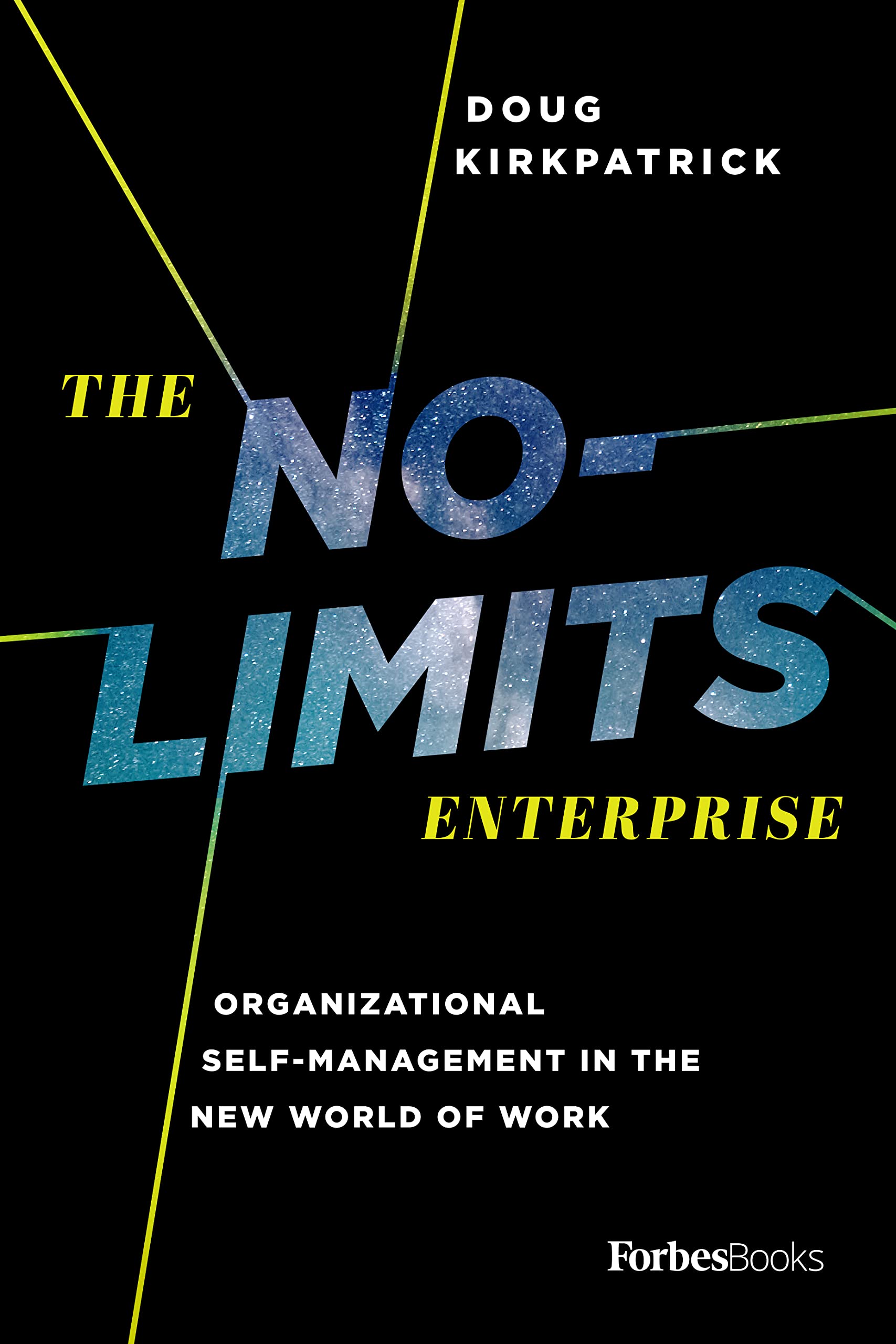 The NoLimits Enterprise: Organizational SelfManagement In The New World Of Work,Used