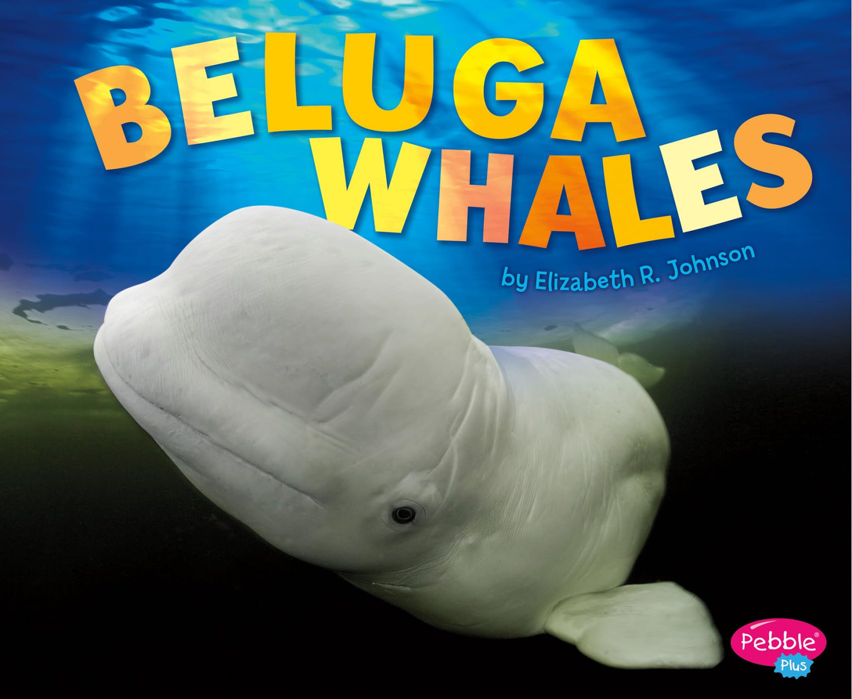 Beluga Whale (Pebble Plus: Sea Life),Used