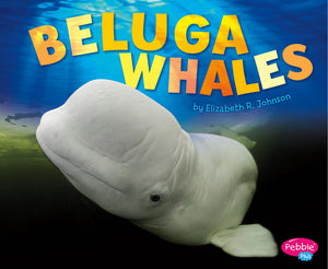 Beluga Whale (Pebble Plus: Sea Life),Used
