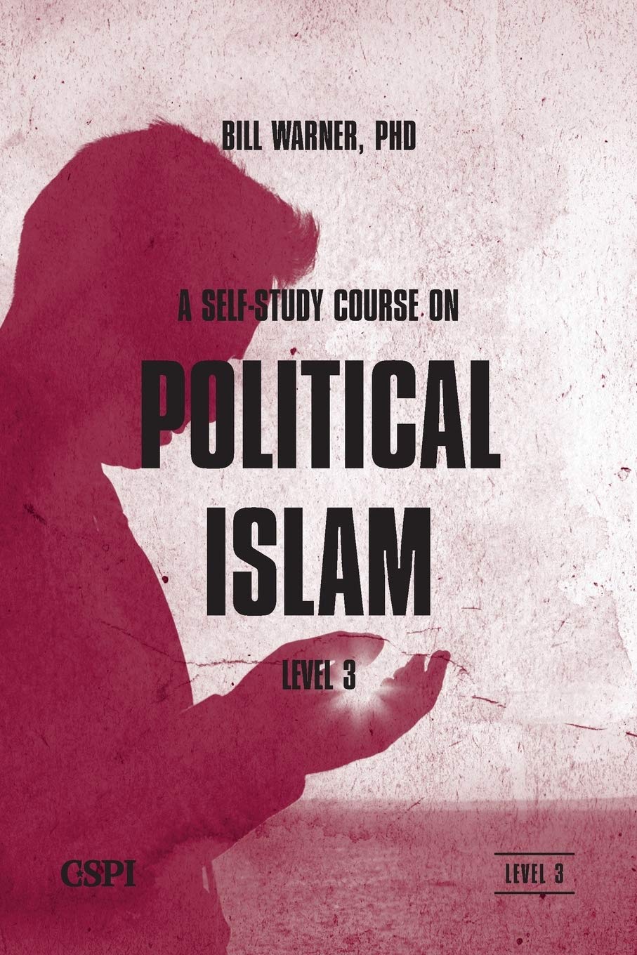 A SelfStudy Course on Political IslamLevel 3,Used