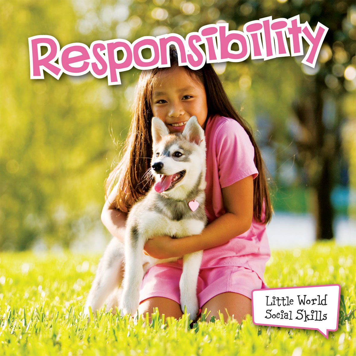 Responsibility (Little World Social Skills),Used
