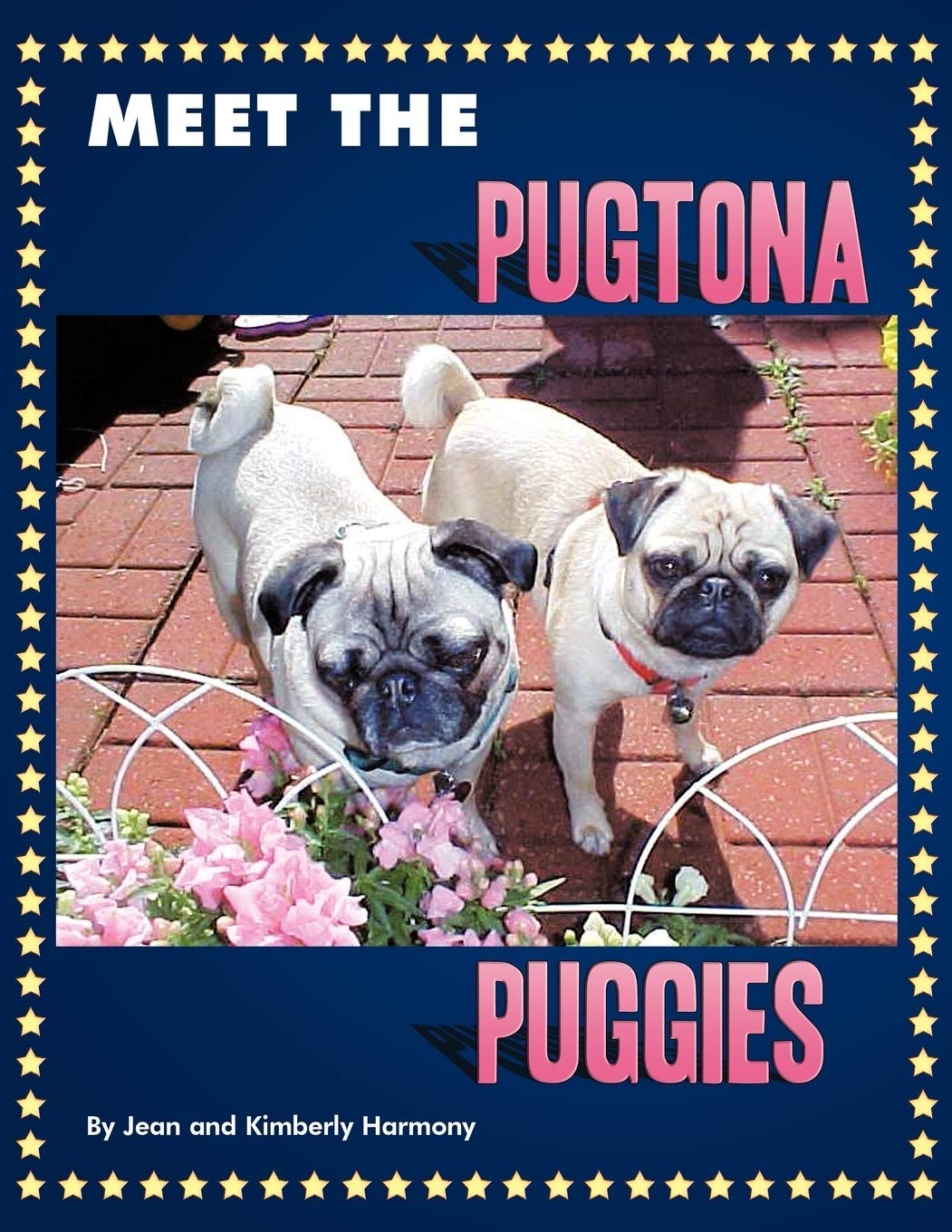 Meet the Pugtona Puggies,Used