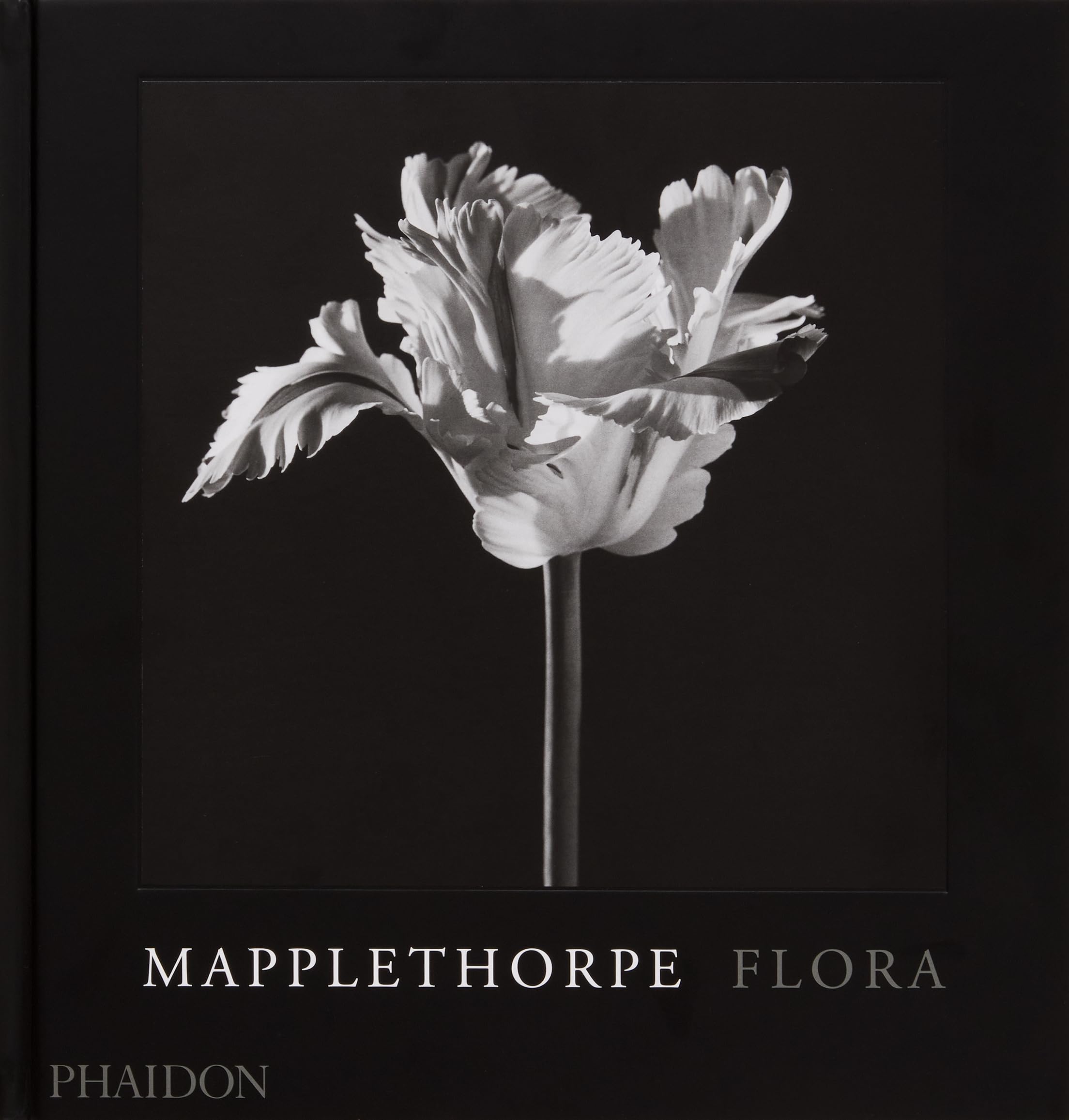 Mapplethorpe Flora: The Complete Flowers,New