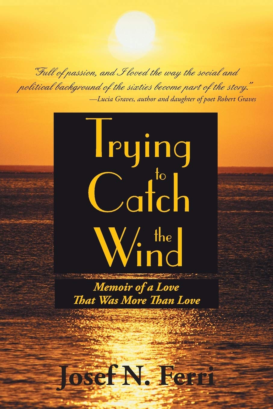 Trying To Catch The Wind: Memoir Of A Love That Was More Than Love,Used