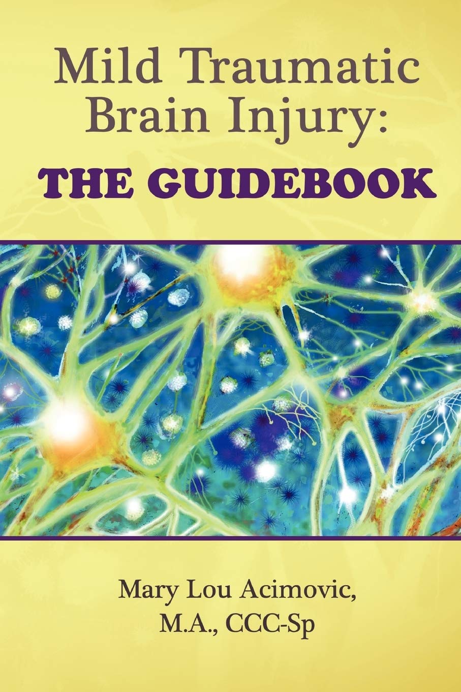 Mild Traumatic Brain Injury: The Guidebook,Used