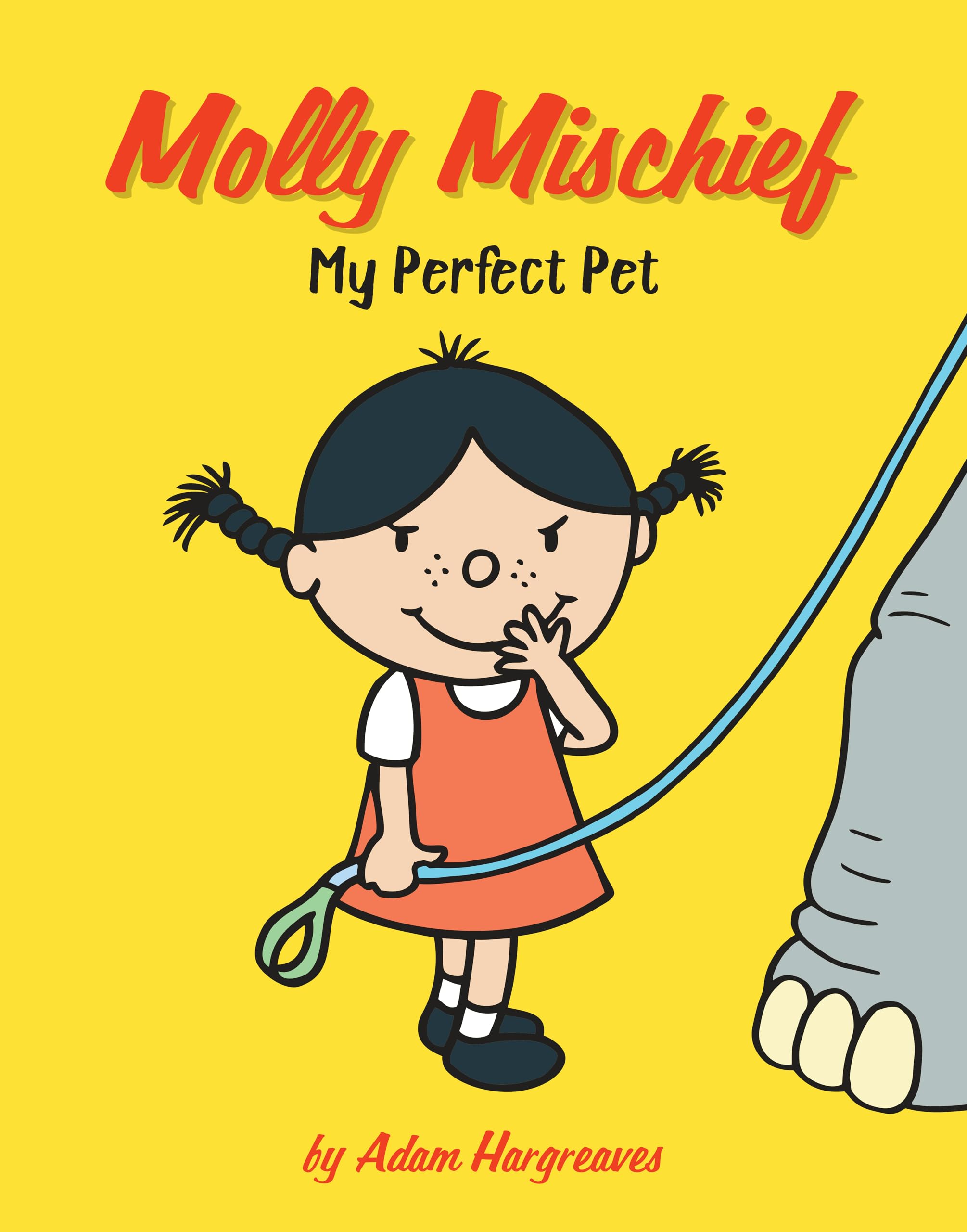 My Perfect Pet (Molly Mischief),Used