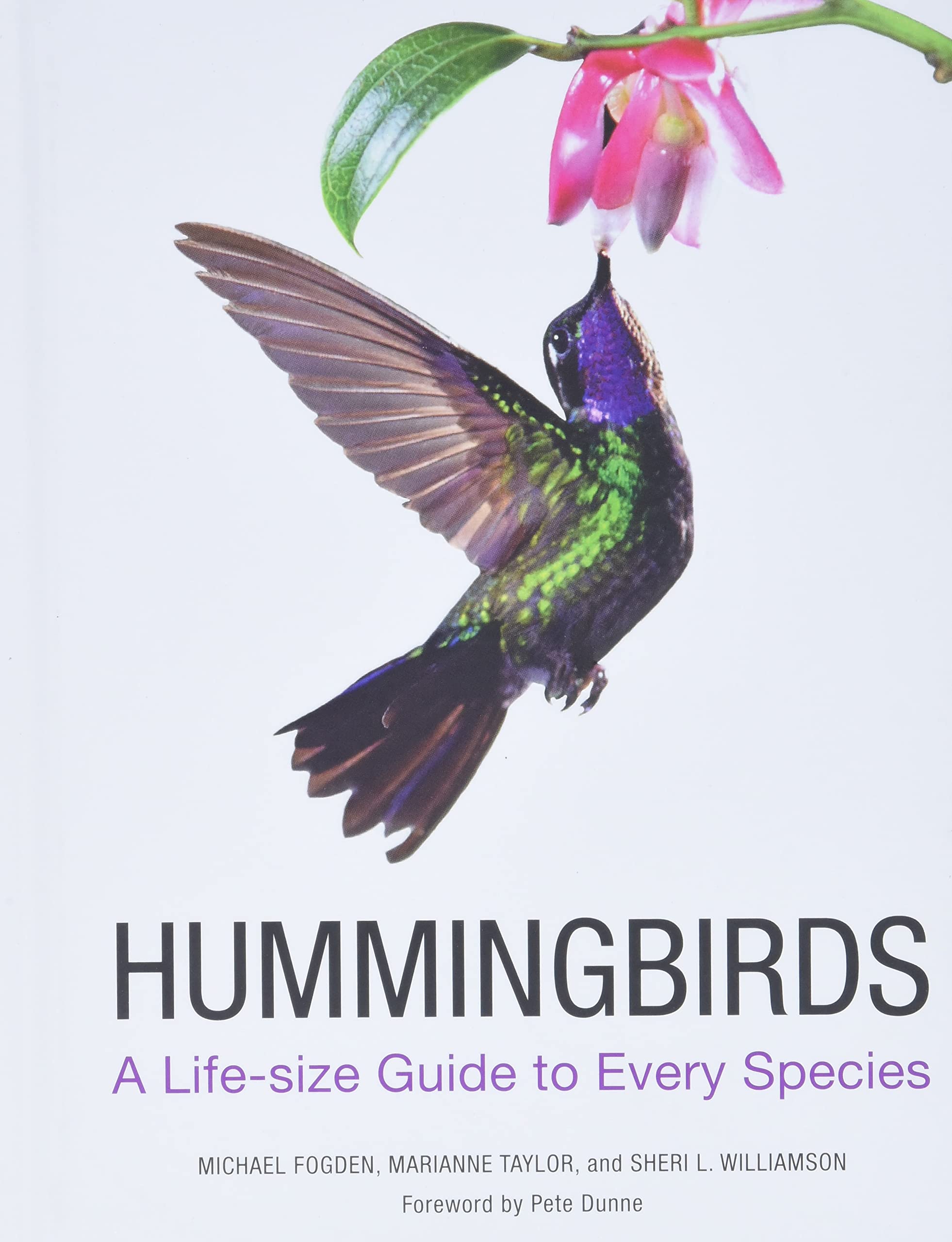 Hummingbirds: A Lifesize Guide to Every Species,New