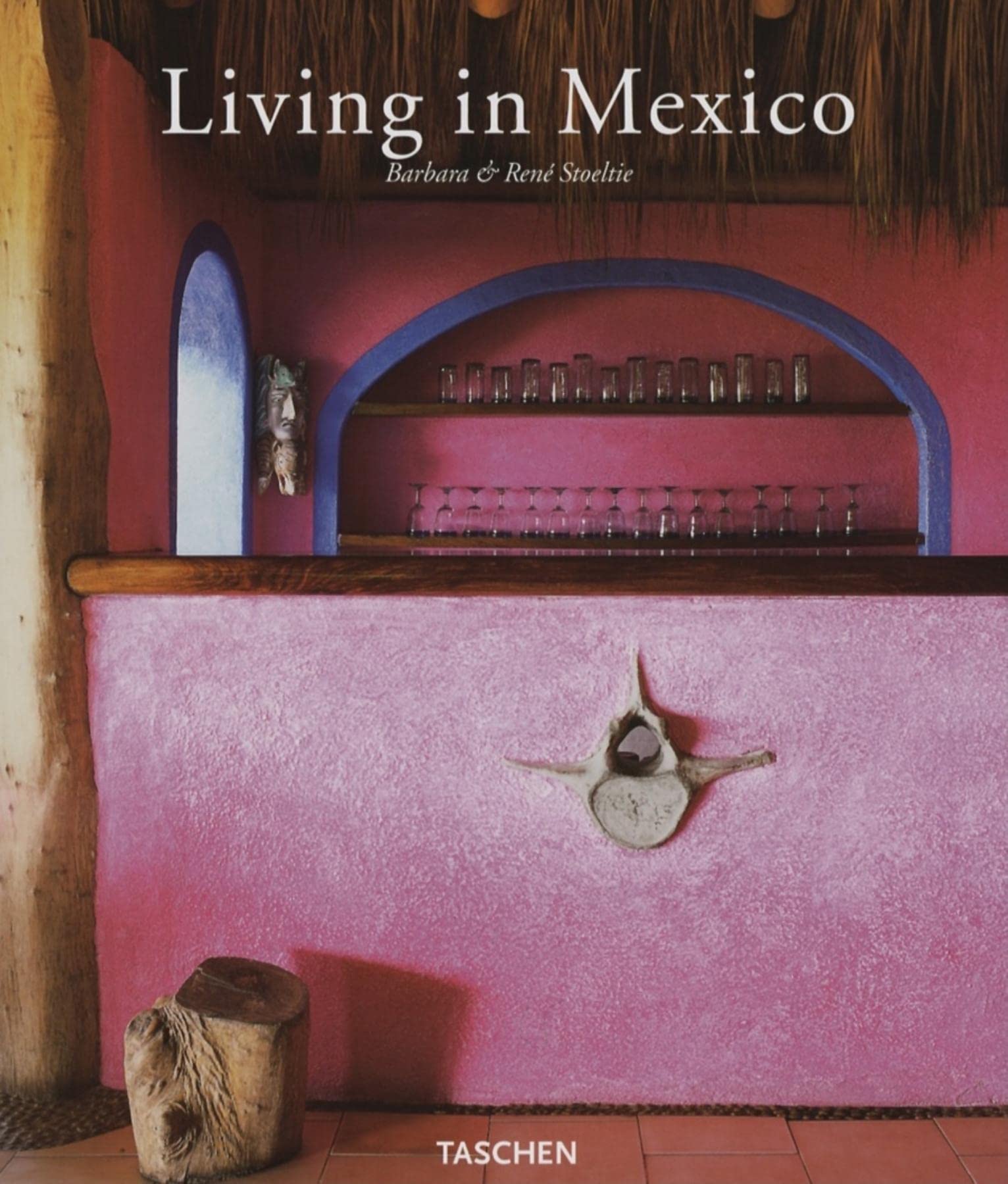 Living in Mexico: Jumbo,Used