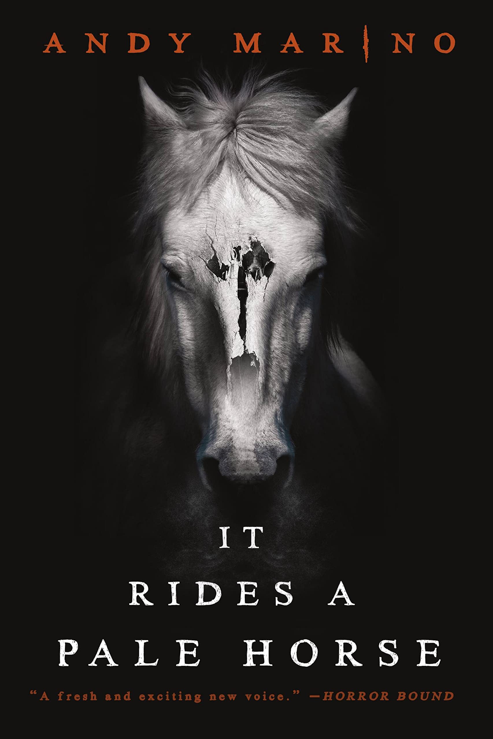 It Rides A Pale Horse,Used