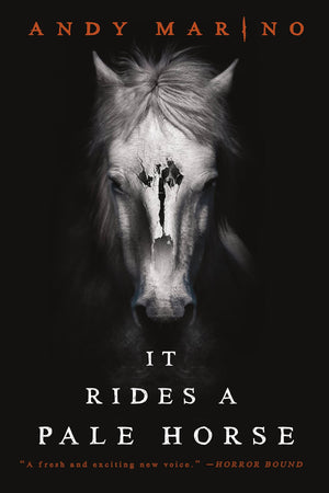 It Rides A Pale Horse,Used