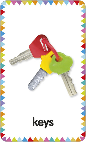 My First Touch and Feel Language Picture Cards: First Words (My First Board Books),Used