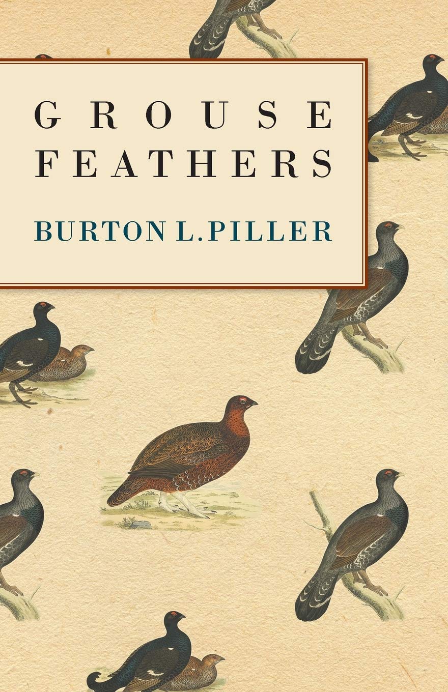 Grouse Feathers,Used