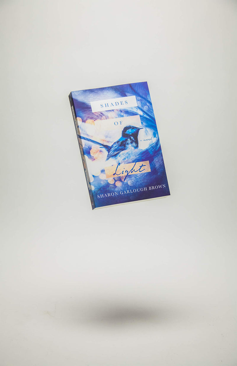 Shades of Light: A Novel,Used