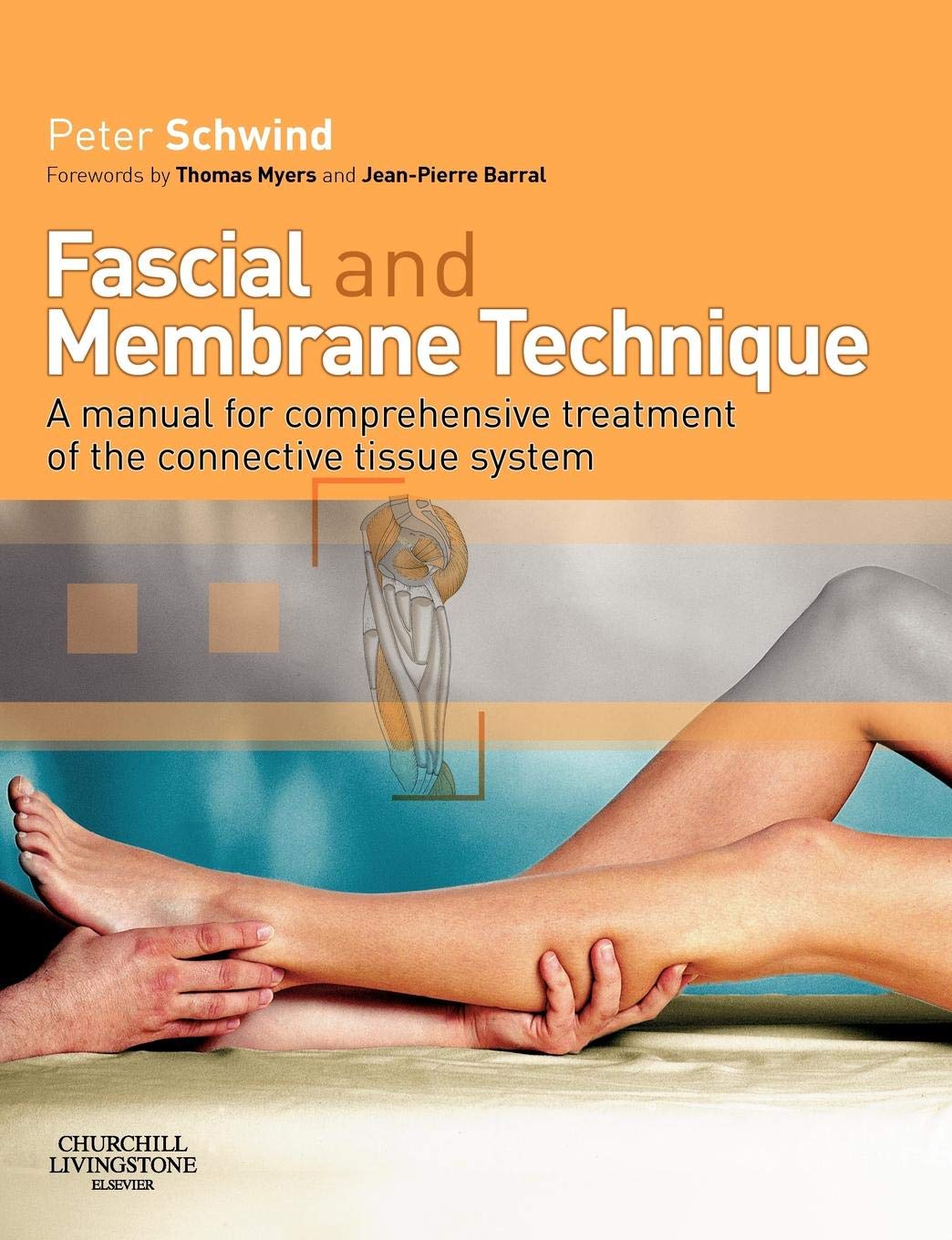 Fascial and Membrane Technique: A manual for comprehensive treatment of the connective tissue system,New