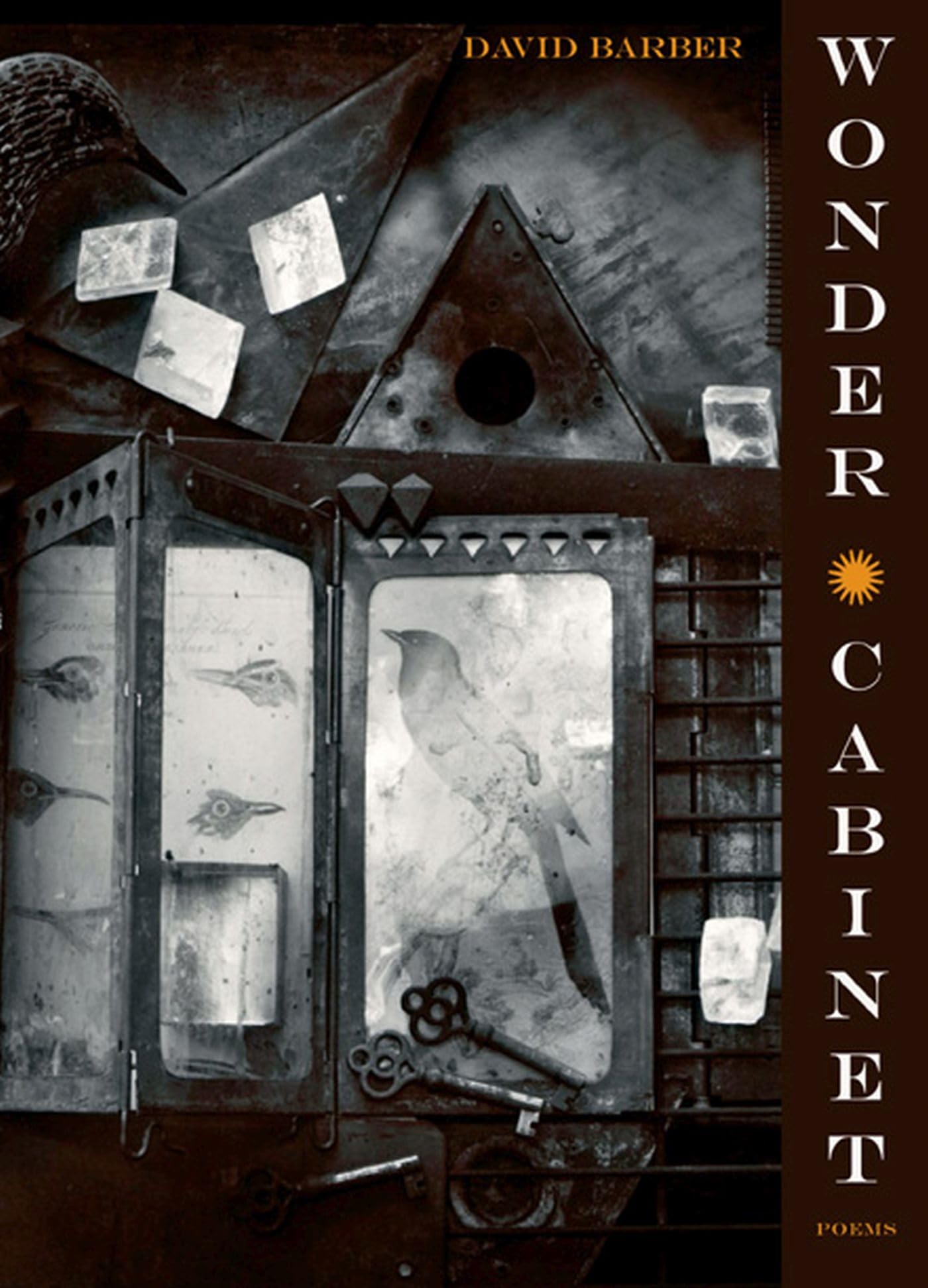 Wonder Cabinet: Poems,Used