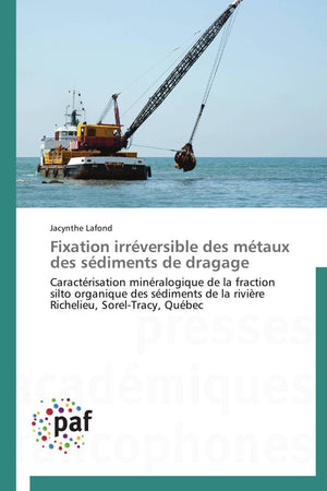 Fixation irrversible des mtaux des sdiments de dragage: Caractrisation minralogique de la fraction silto organique des,Used