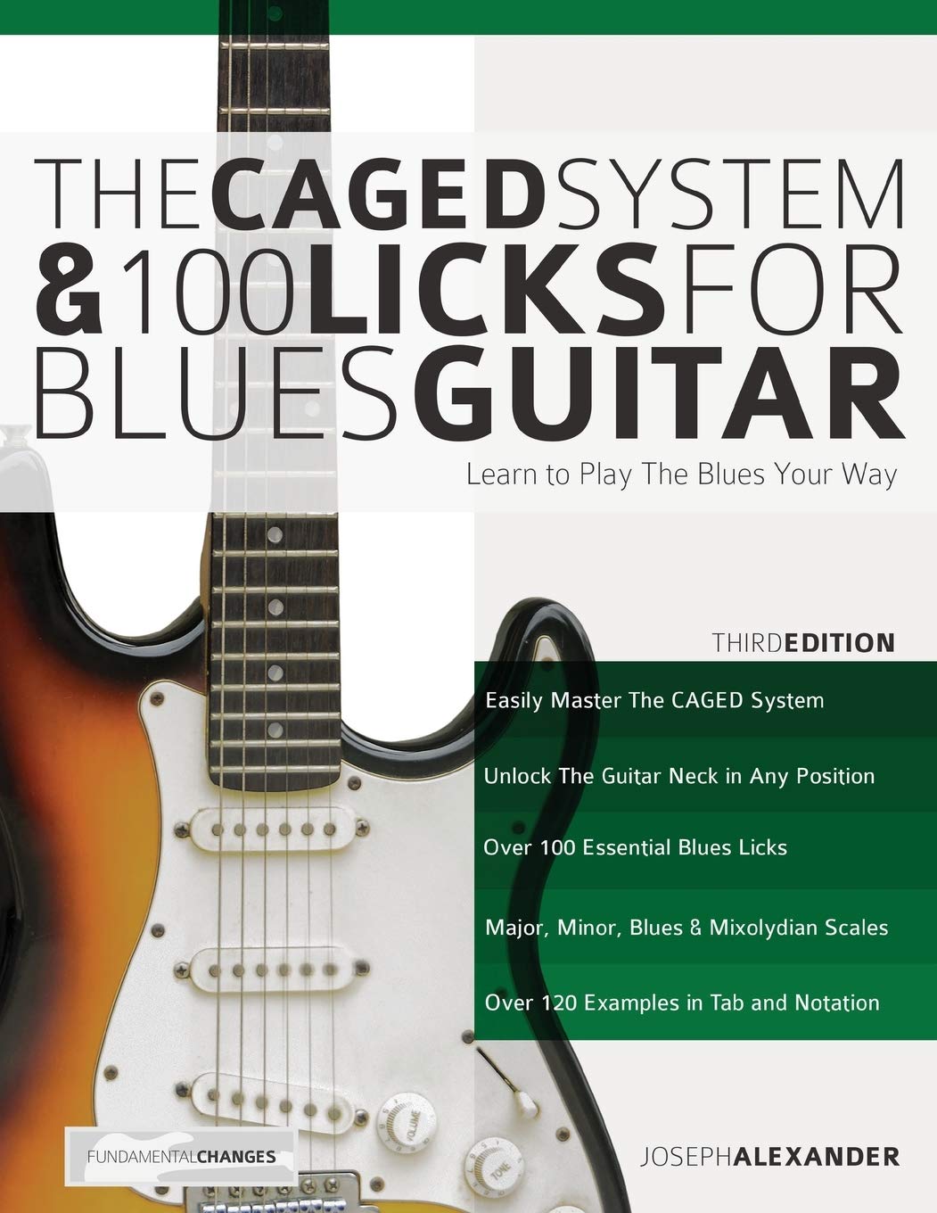 The CAGED System and 100 Licks for Blues Guitar: Learn To Play The Blues Your Way (Learn How to Play Blues Guitar),Used