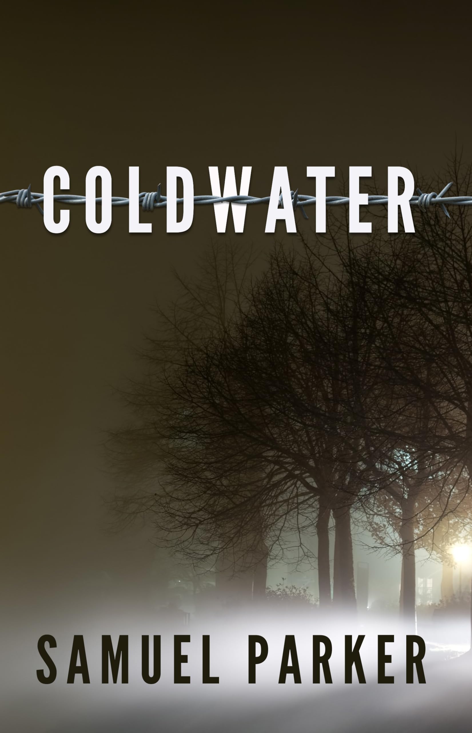 Coldwater (Thorndike Press Large Print Christian Mystery),Used