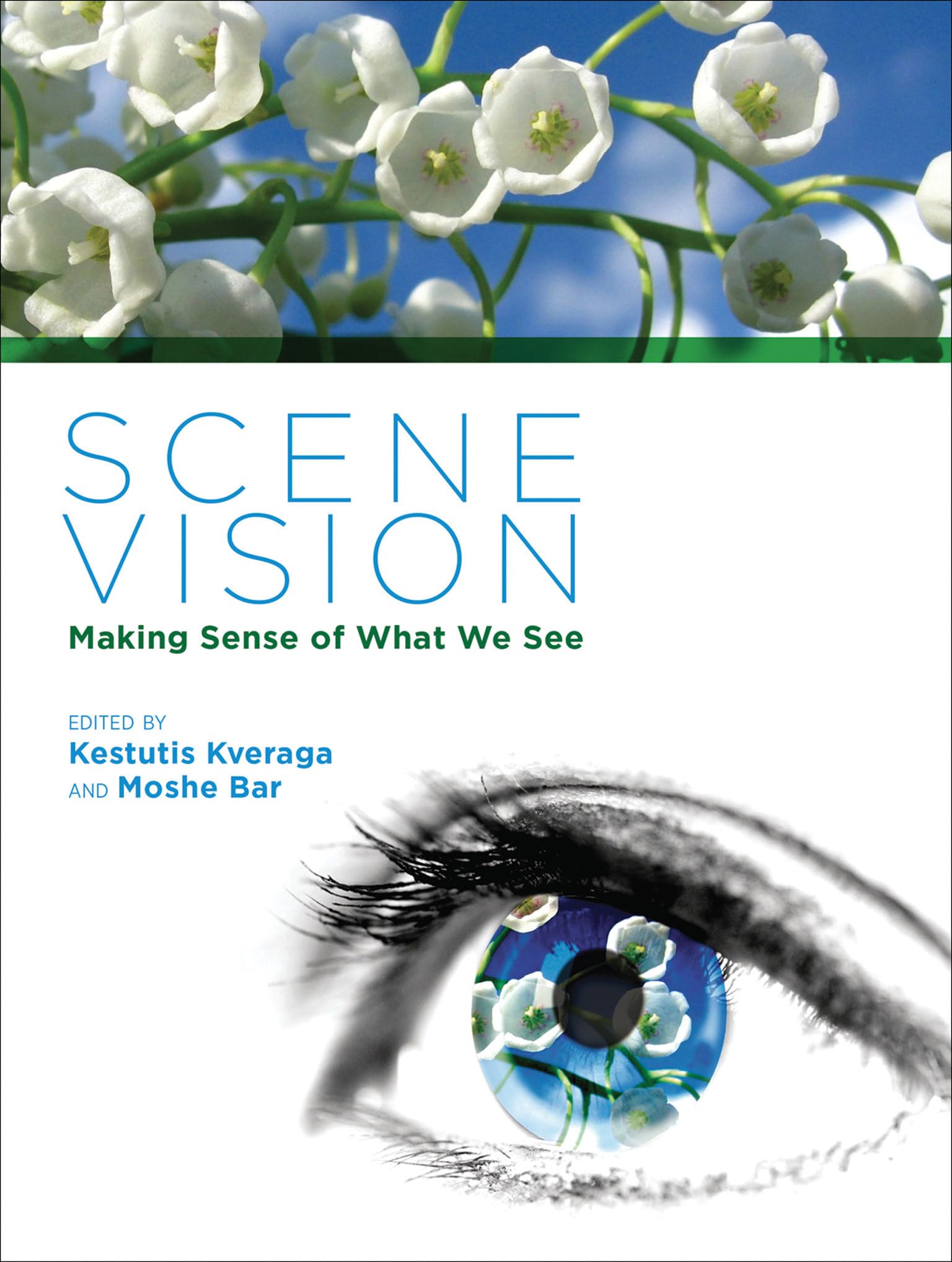 Scene Vision: Making Sense of What We See,New