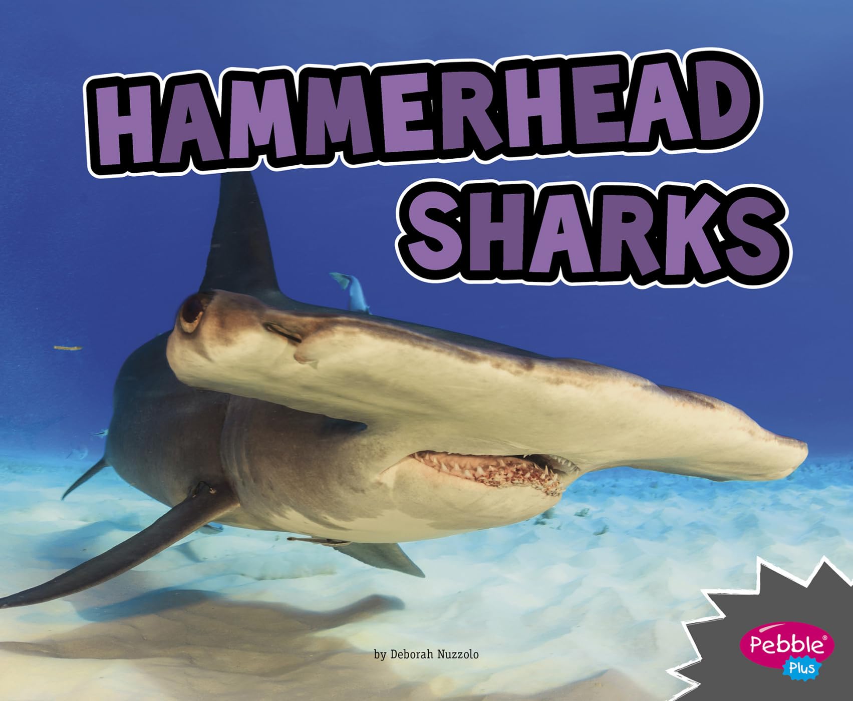 Hammerhead Sharks (All About Sharks),Used