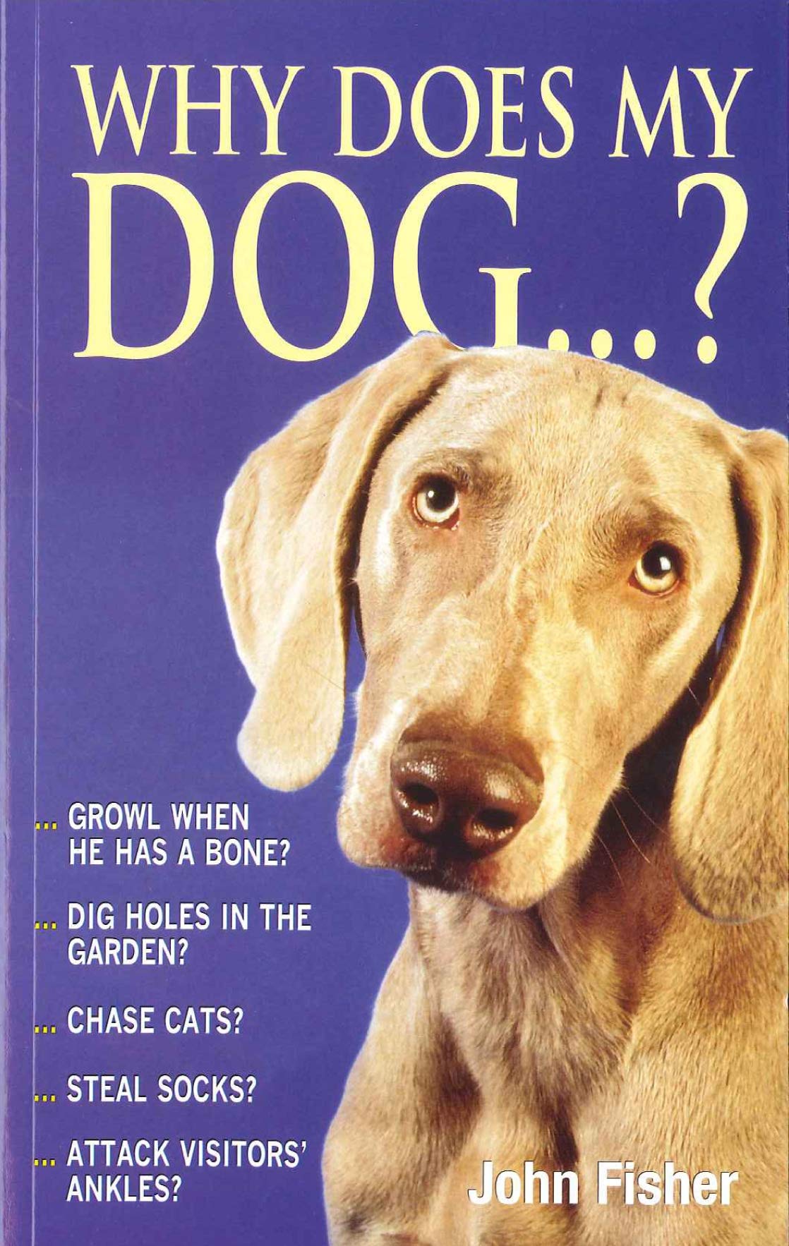 Why Does My Dog . . . ? (Why Does My . . . ? series),New
