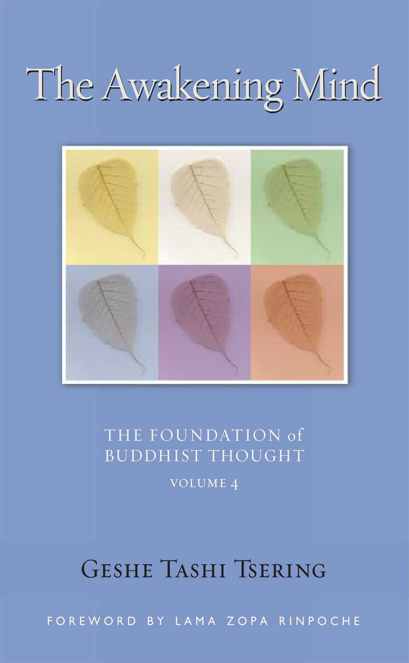 The Awakening Mind: The Foundation Of Buddhist Thought, Volume 4 (4),Used