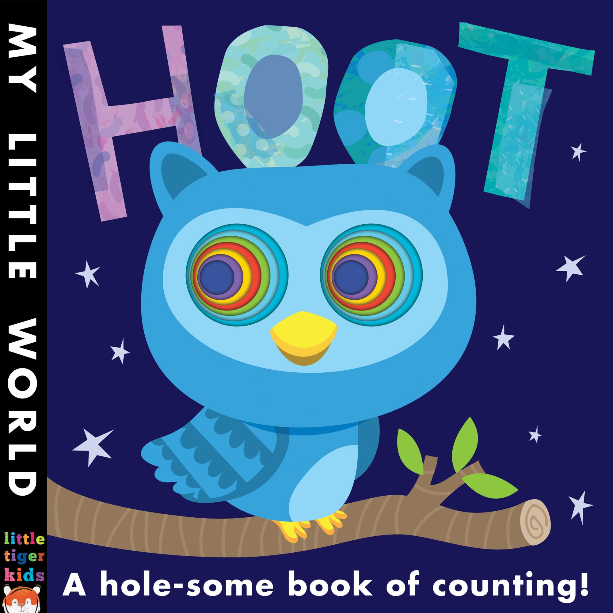 Hoot: A holesome book of counting (My Little World),Used