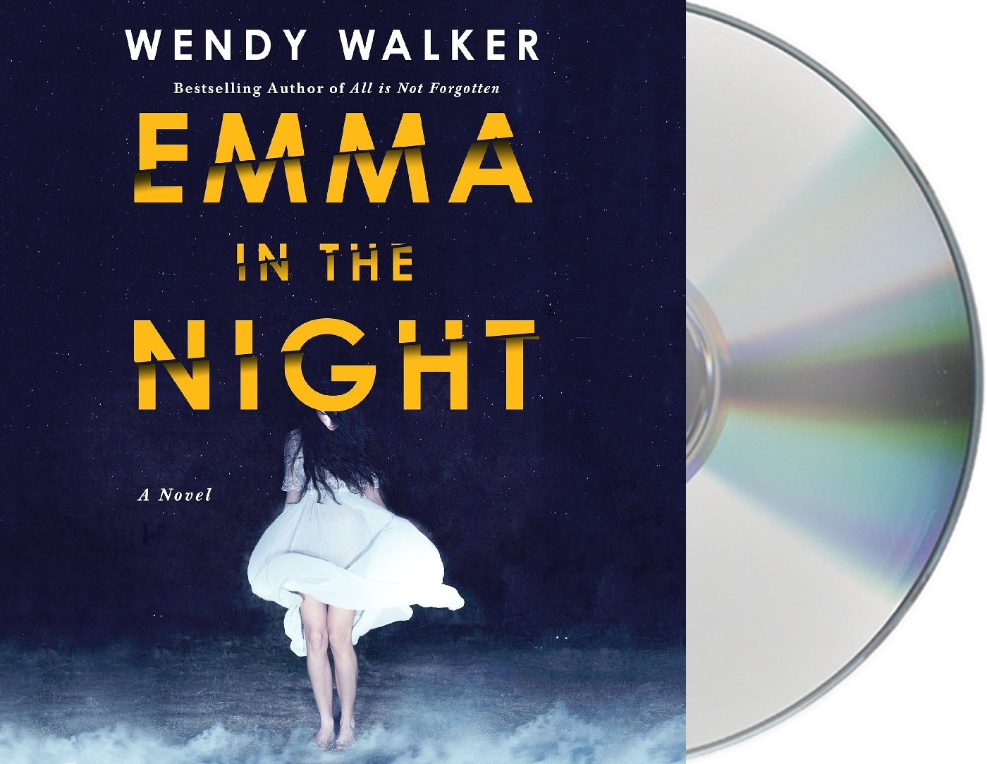 Emma in the Night: A Novel,Used