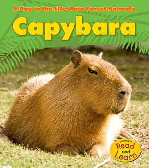 Capybara (A Day in the Life: Rain Forest Animals),Used