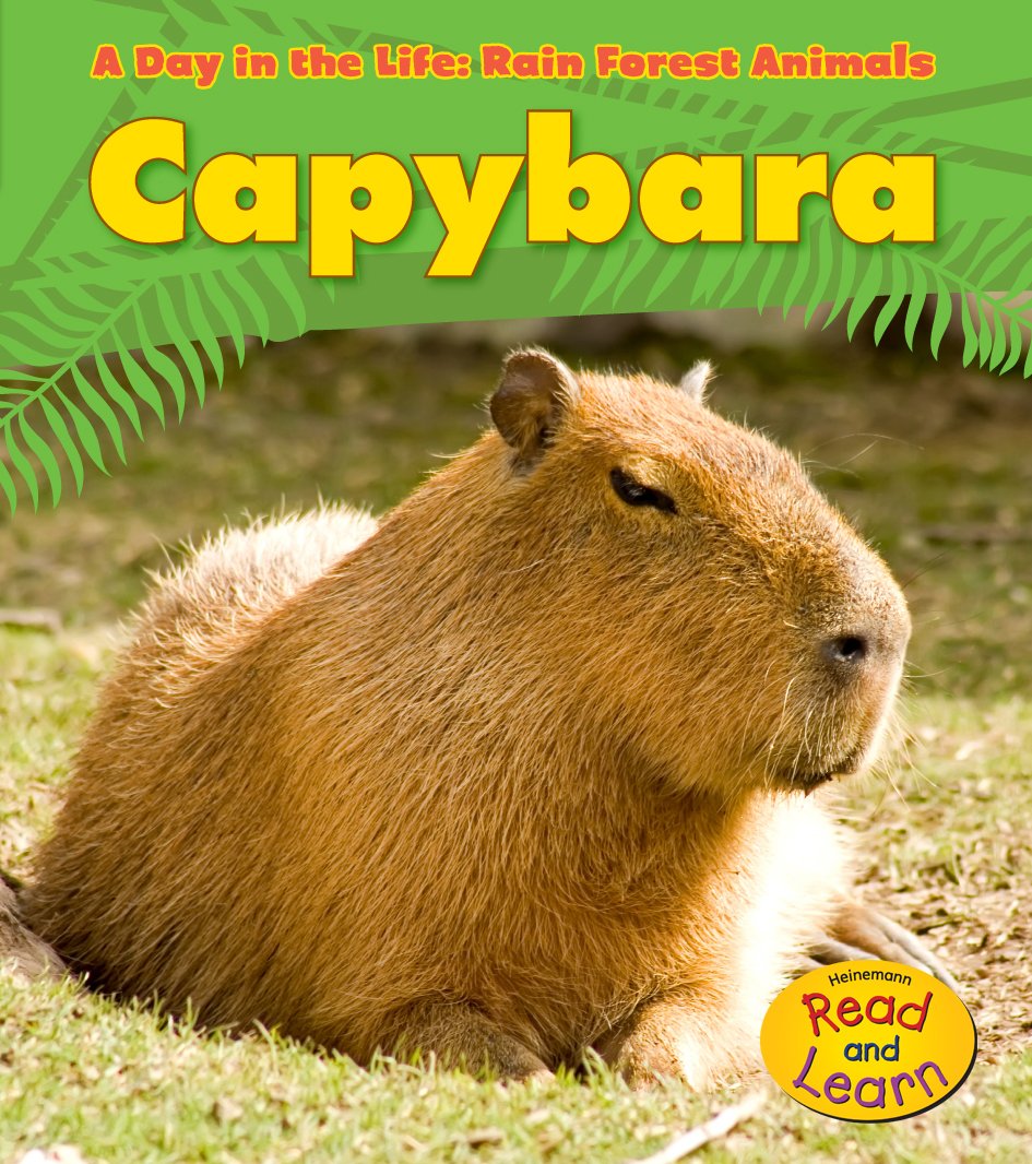 Capybara (A Day in the Life: Rain Forest Animals),Used