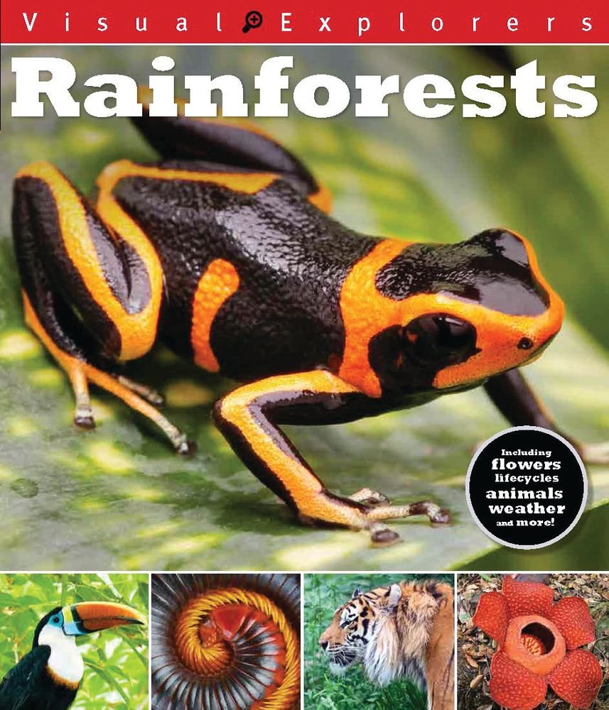 Rainforests (Visual Explorers),Used